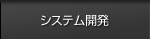 システム開発