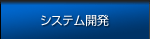 システム開発